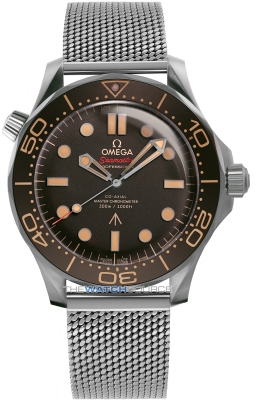 Omega Seamaster Diver 300m Co-Axial Master Chronometer 42mm 210.90.42.20.01.001 watch